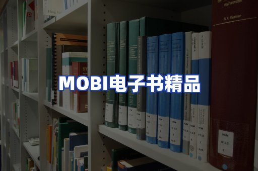外文电子书产品